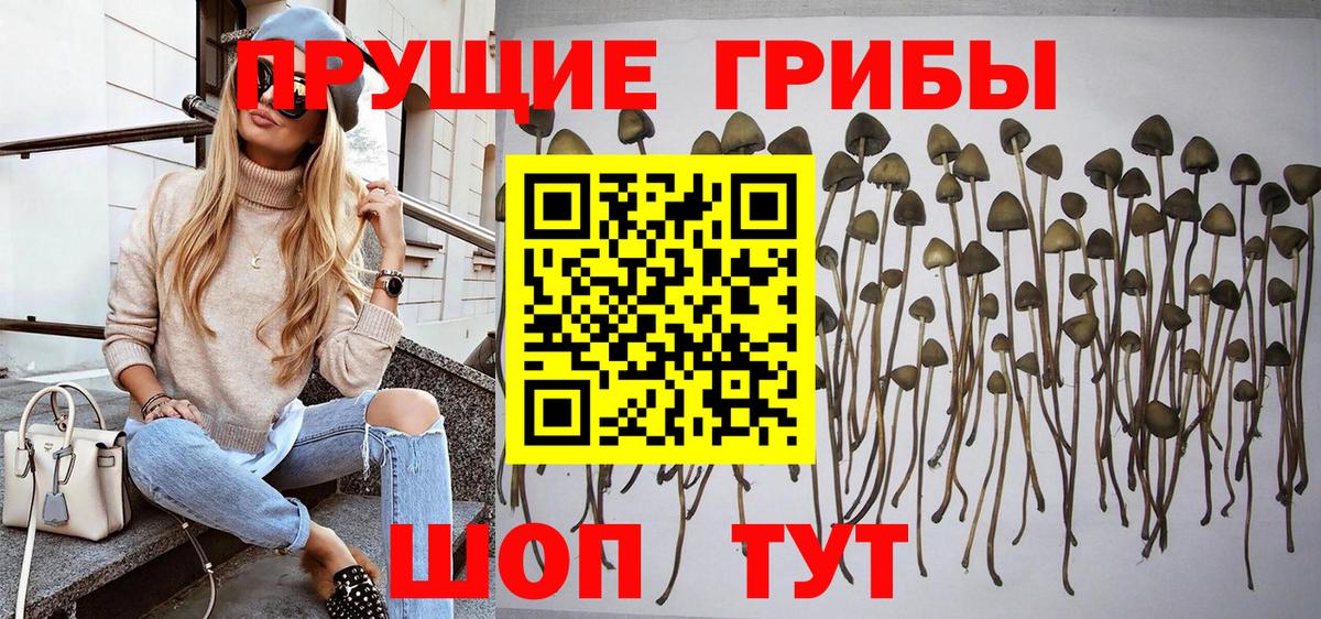 Галлюциногенные грибы мицелий Ессентуки