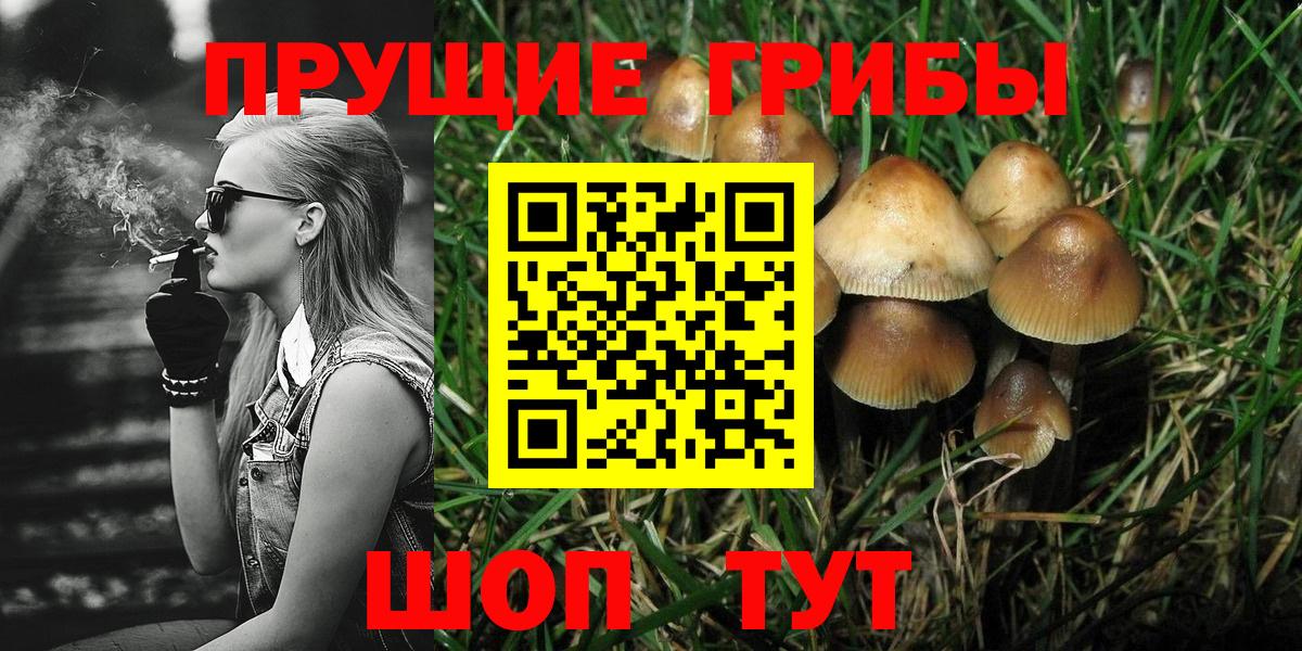 Галлюциногенные грибы мицелий  Галлюциногенные грибы GOLDEN TEACHER  Вход с VPN  купить   Ессентуки 